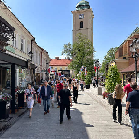 Rzeszów - Święto Paniagi 2025 - fot 13