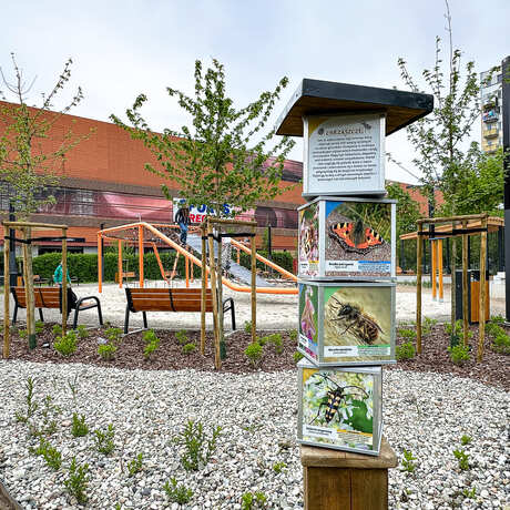Rzeszów - Nowy ogród kieszonkowy na osiedlu Nowe Miasto - fot 6