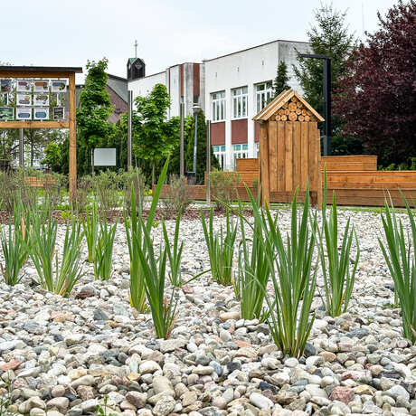 Rzeszów - Nowy ogród kieszonkowy na osiedlu Nowe Miasto - fot 31