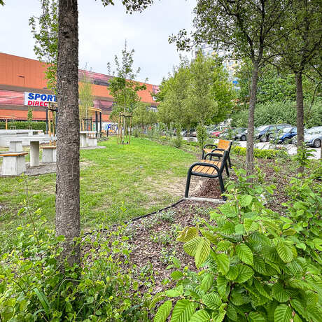 Rzeszów - Nowy ogród kieszonkowy na osiedlu Nowe Miasto - fot 44
