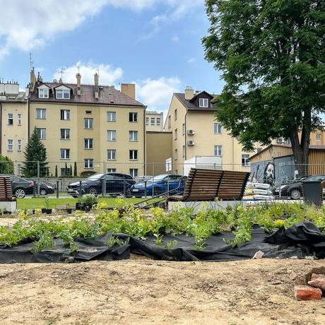 Rzeszów - Budowa ogrodu kieszonkowego w centrum Rzeszowa, przy ul. Jagiellońskiej [czerwiec 2025] - fot 12