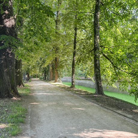 Rzeszów - Spacer po parku łańcuckiego Zamku - fot 32