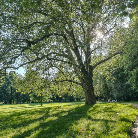 Rzeszów - Spacer po parku łańcuckiego Zamku - fot 33