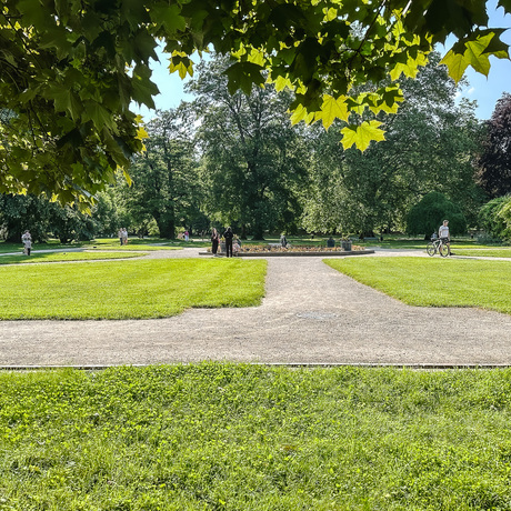 Rzeszów - Spacer po parku łańcuckiego Zamku - fot 14