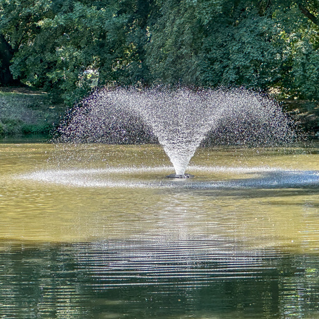 Rzeszów - Lato w zrewitalizowanym parku na osiedlu Słocina [lipiec 2025] - fot 33