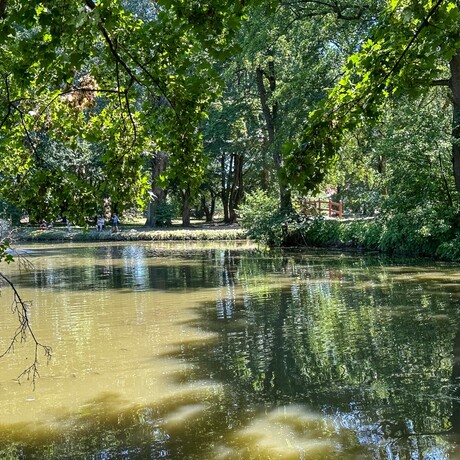 Rzeszów - Lato w zrewitalizowanym parku na osiedlu Słocina [lipiec 2025] - fot 41