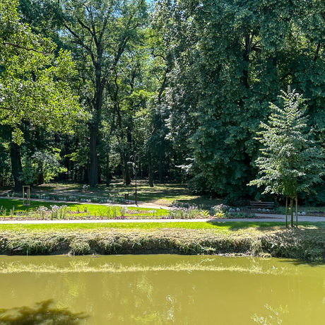 Rzeszów - Lato w zrewitalizowanym parku na osiedlu Słocina [lipiec 2025] - fot 20
