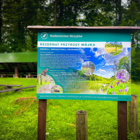 Rzeszów - Rezerwat przyrody "Mójka" - spacer szlakiem Jelenia - fot 47