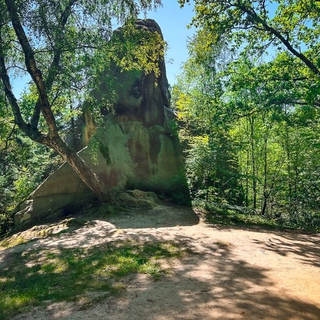 Rzeszów - Rezerwat Przyrody "Prządki" - lato 2025 - fot 28