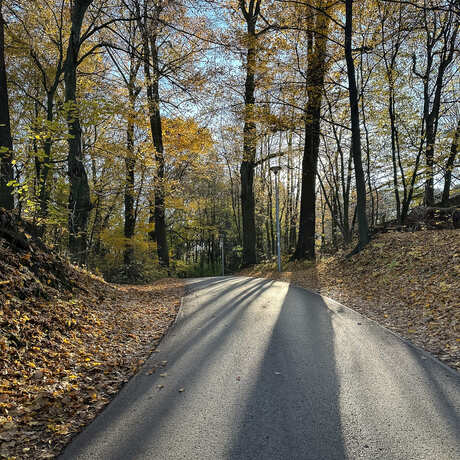 Rzeszów - Jesienny spacer po Lisiej Górze - fot 1