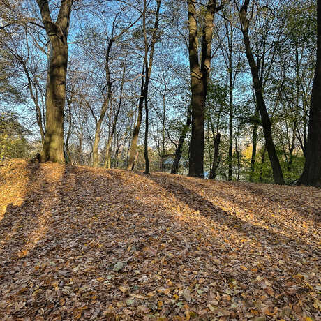 Rzeszów - Jesienny spacer po Lisiej Górze - fot 4