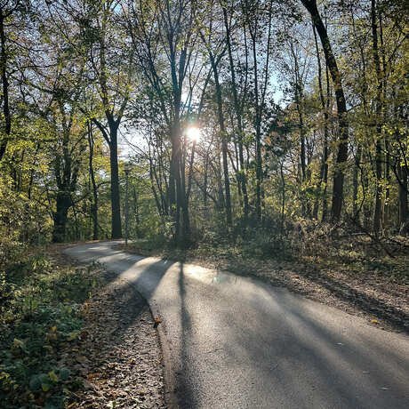 Rzeszów - Jesienny spacer po Lisiej Górze - fot 5