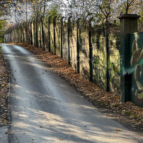 Rzeszów - Jesienny spacer po Lisiej Górze - fot 8