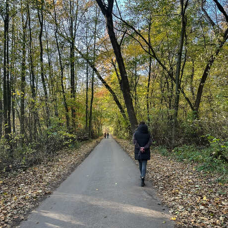 Rzeszów - Jesienny spacer po Lisiej Górze - fot 17