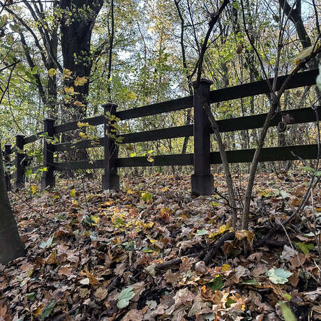 Rzeszów - Jesienny spacer po Lisiej Górze - fot 16