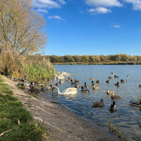 Rzeszów - Jesienny spacer po Lisiej Górze - fot 18