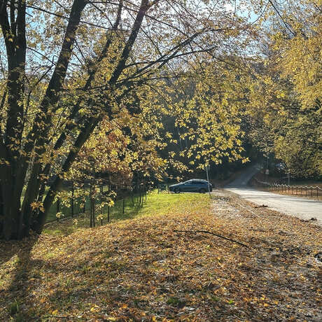 Rzeszów - Jesienny spacer po Lisiej Górze - fot 24