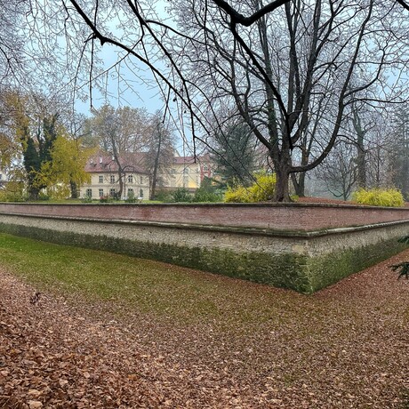 Rzeszów - Zwiedzamy I piętro Muzeum - Zamku w Łańcucie [listopad 2025] - fot 34