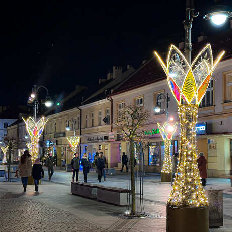 Rzeszów - Świąteczne oświetlenie Rzeszowa w sezonie 2025 / 2026 - fot 32