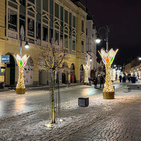 Rzeszów - Świąteczne oświetlenie Rzeszowa w sezonie 2025 / 2026 - fot 12