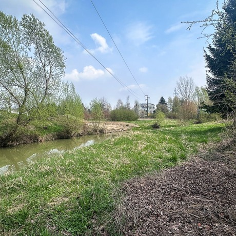 Rzeszów - Budowa kładki nad rzeką Strug na osiedlu Drabinianka [kwiecień 2026] - fot 2