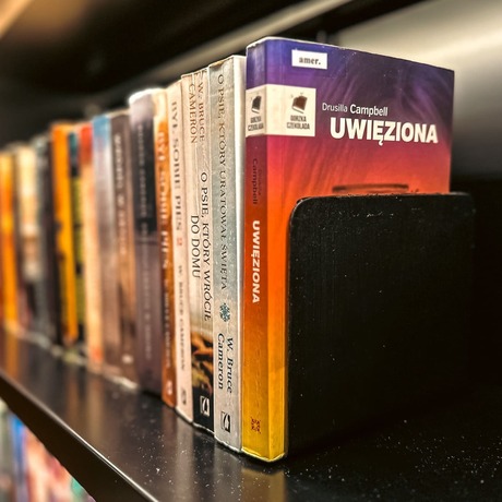 Rzeszów - Biblioteka w Millenium Hall (filia nr 3 WiMBP w Rzeszowie) - fot 23