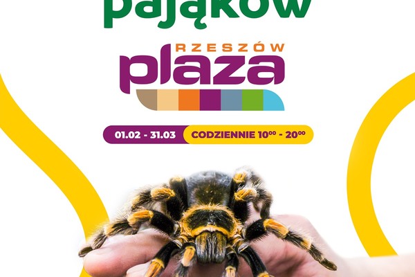 Wystawa Pająków