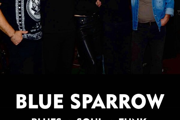 Blue Sparrow