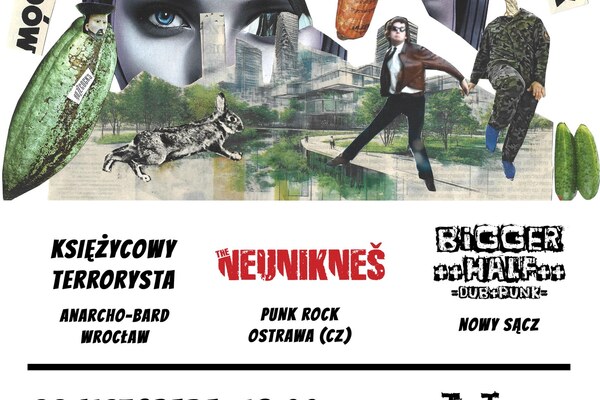 Hardcore to punk 16