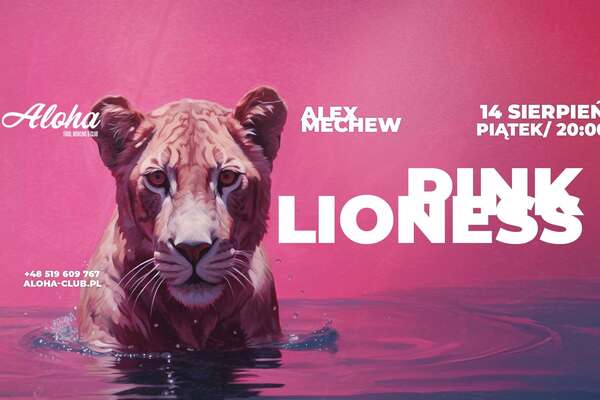 Pink Lioness