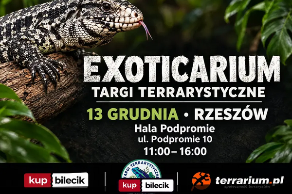Exoticarium  - Targi Terrarystyczne + Wystawa Pająków