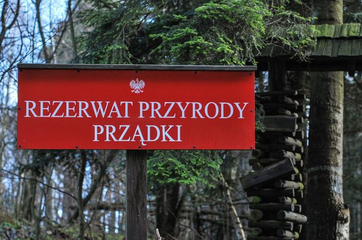 Rzeszów - Prządki, Zamek w Odrzykoniu