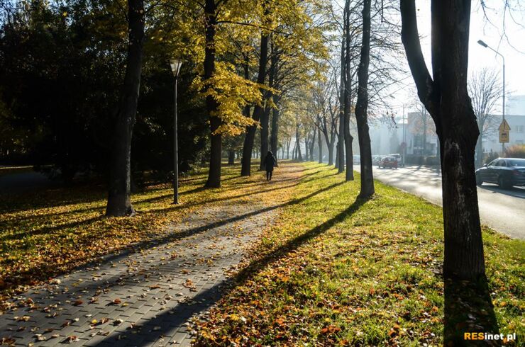 Barwy Jesieni. Spacer po Rzeszowie