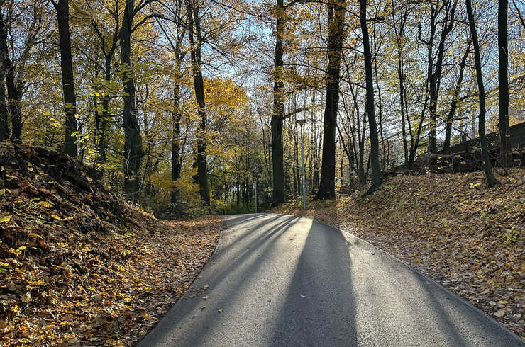 Jesienny spacer po Lisiej Górze