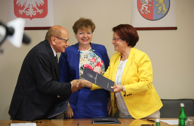 Przy 10 drzewach w mieście znajdą się specjalne tabliczki 