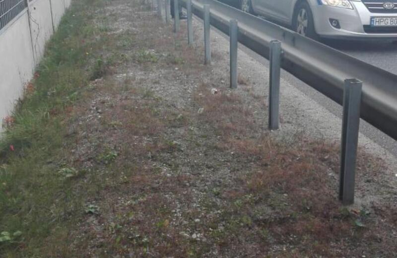 Policjanci udaremnili ustawkę kiboli Stali Rzeszów i Stali Stalowej Woli z Lechem Poznań