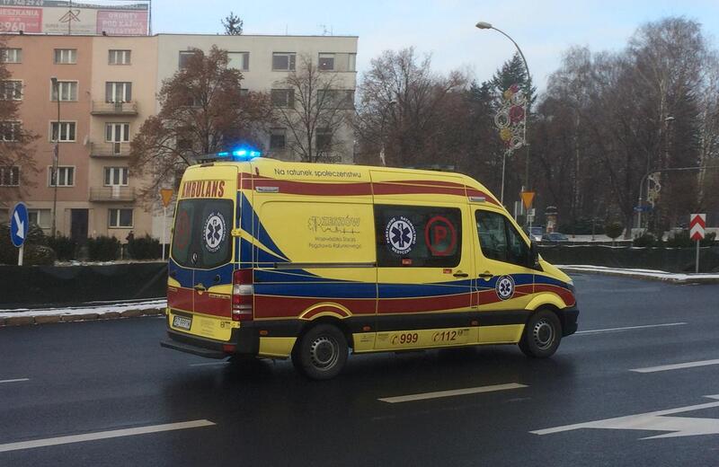 Śmiertelny wypadek w Rudnej Małej. Kierowca osobówki zderzył się z sarną
