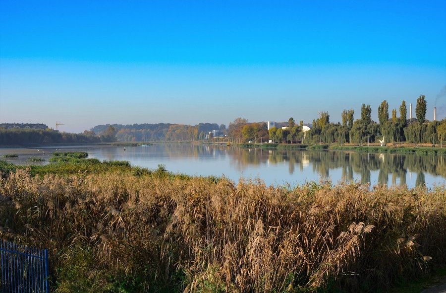 fot. Archiwum RESinet.pl
