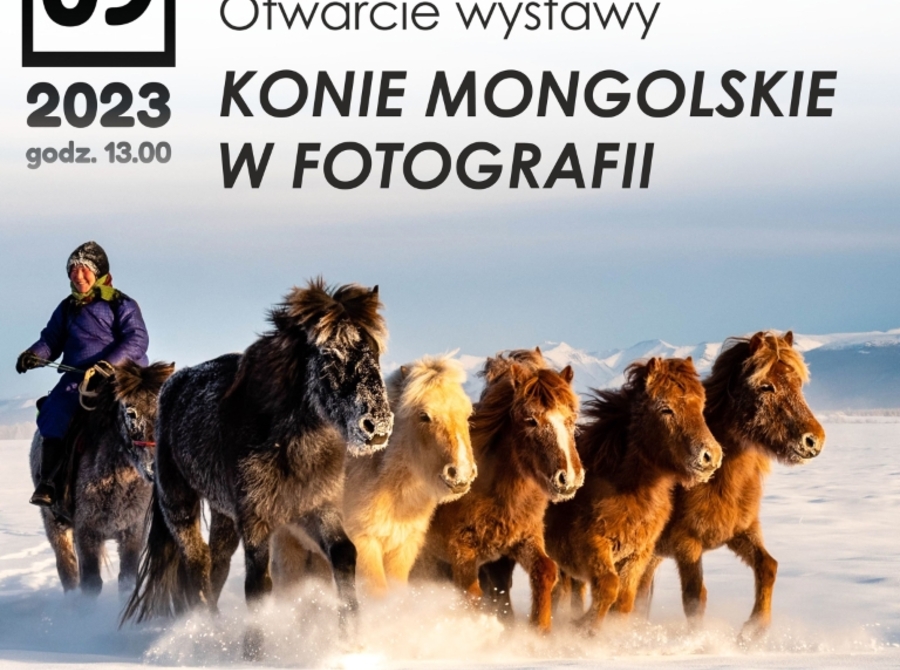 Konie Mongolskie w Fotografii