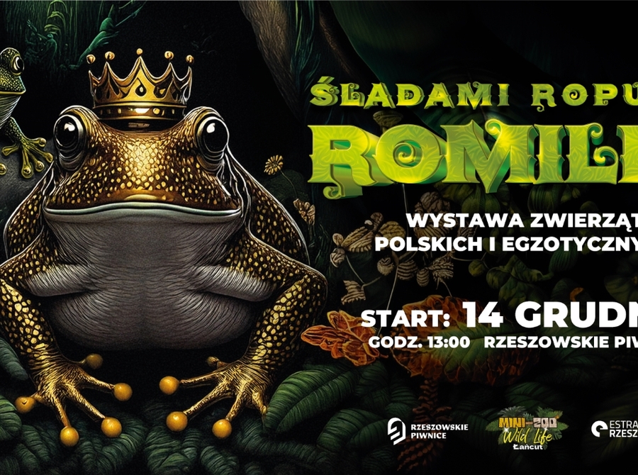 Śladami ropuchy Romildy - wystawa zwierząt polskich i egzotycznych