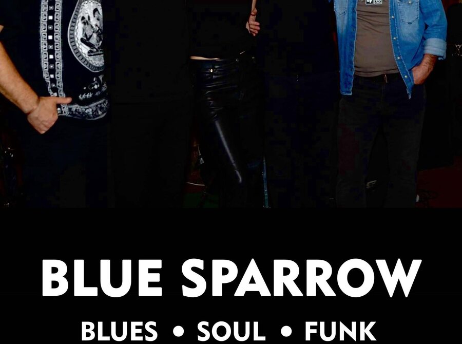 Blue Sparrow