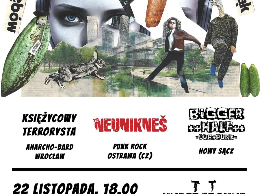 Hardcore to punk 16