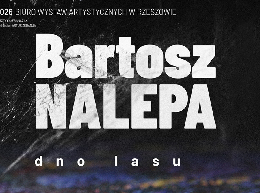 Bartosz Nalepa: Dno Lasu