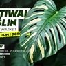 Festiwal Roślin - Jesień 2026