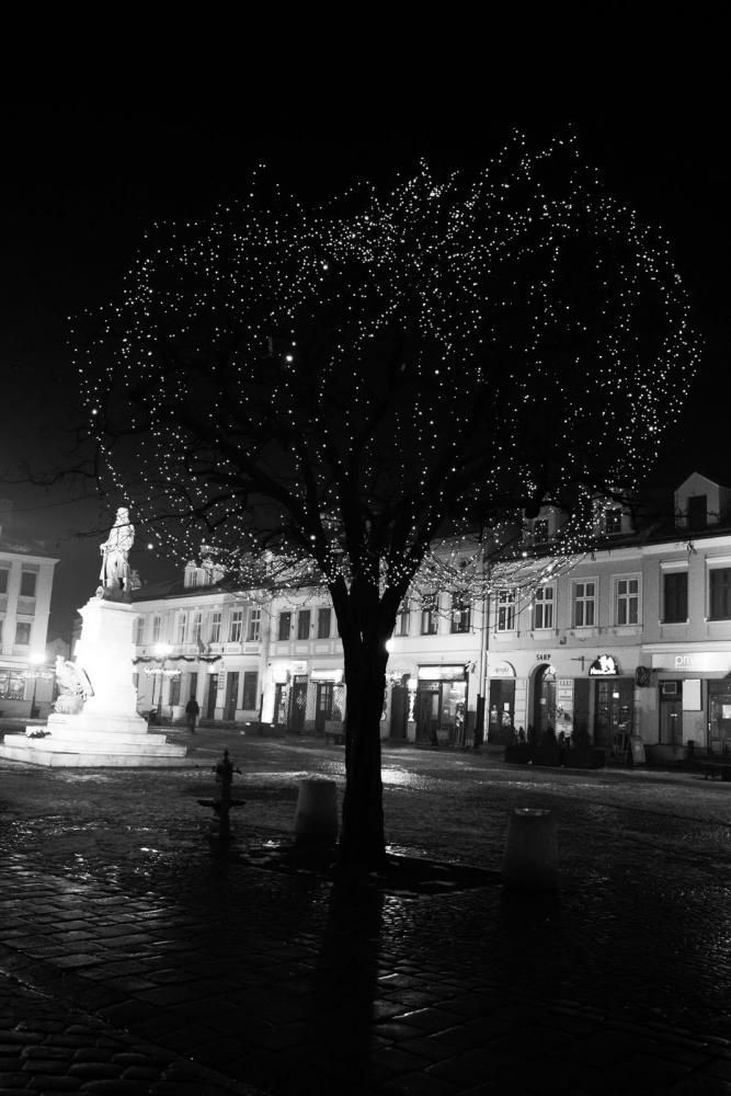Rzeszów przedświąteczny - Rynek i okolice - Rzeszów - 8.12.2010