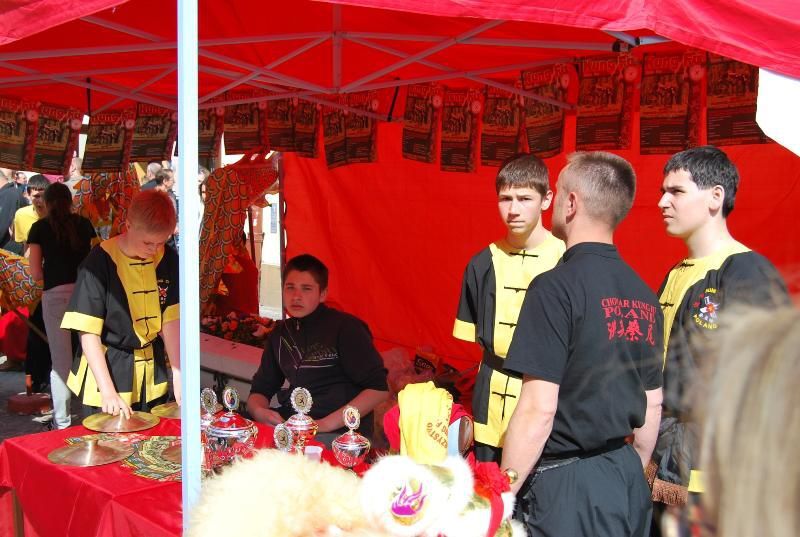 Święto Paniagi - Rzeszów 2011