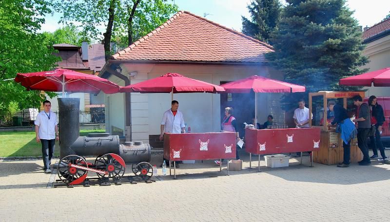 Święto Paniagi - Rzeszów 2011