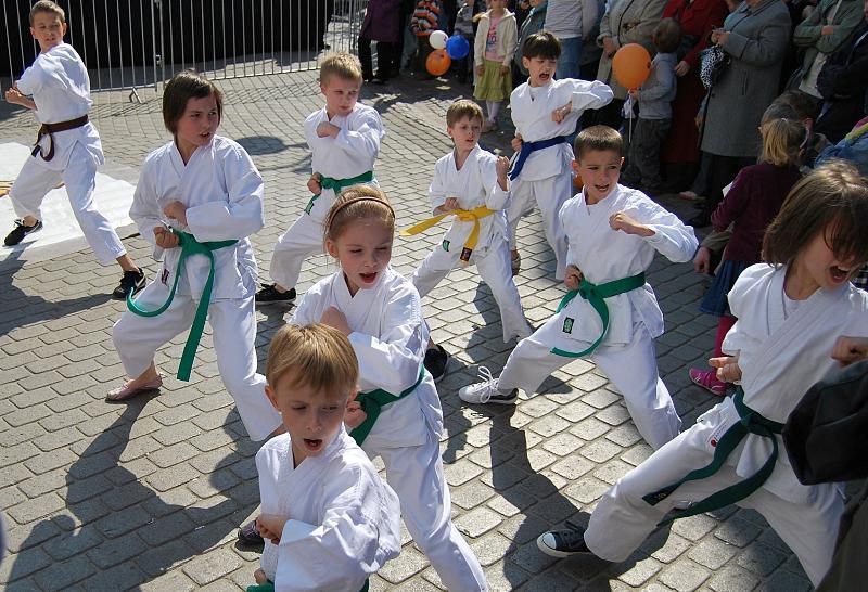 Święto Paniagi - Rzeszów 2011