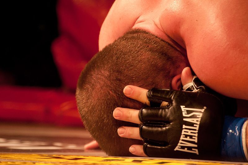 Gala MMA Rzeszów - 24.02.2012