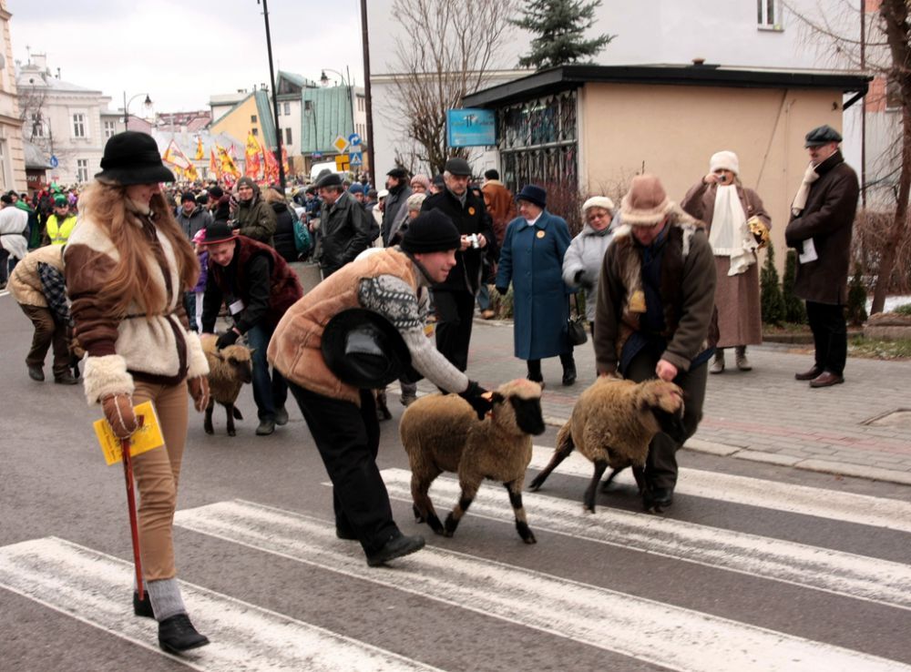 Orszak Trzech Króli w Rzeszowie